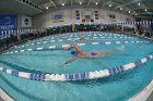 Swimming & Diving vs Babson  Swimming & Diving vs Babson College. - Photo by Keith Nordstrom : Wheaton, Swimming
